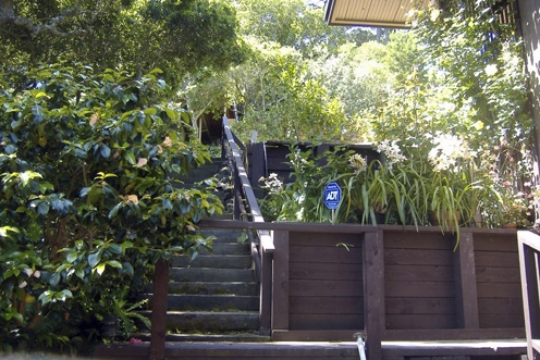 Looking up the hill at old terrace and stairs