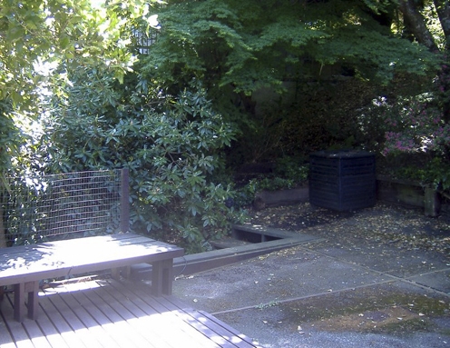 Looking across the old patio