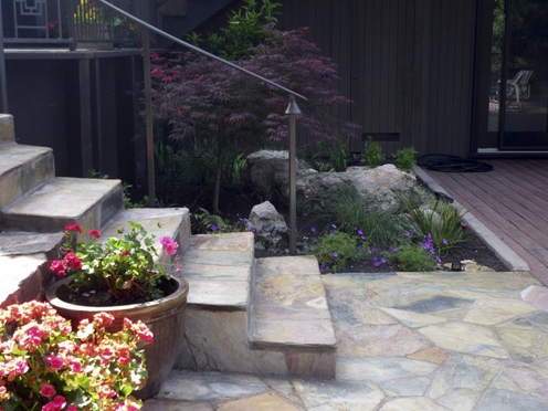 New corner of garden near house
