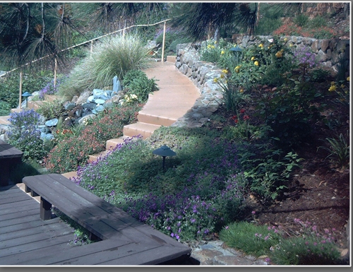 Low maintenance plants