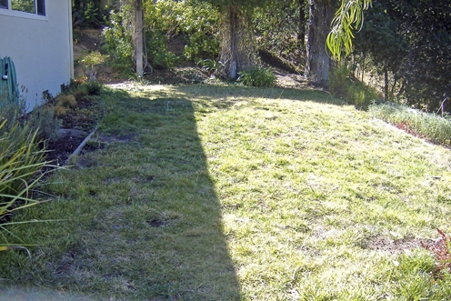 Old lawn before the work