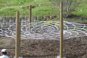 Challenge: A safe and fun place to play for children