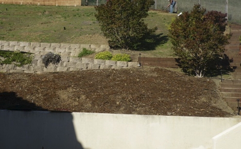 Cleared hillside