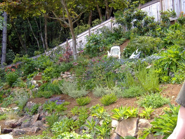 Perennials cover the soil and provide year round color