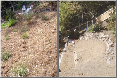 Cleared hillside