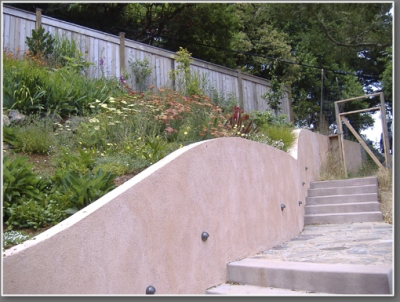 The hill planted