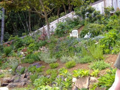 Perennials cover the soil and provide year round color