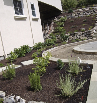 Edge of fire pit area