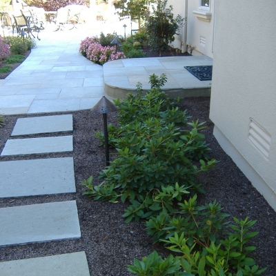 Stepping stone path