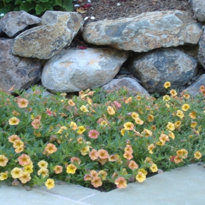 DSCF2326.jpg