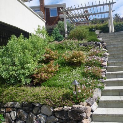 After: One year after planting