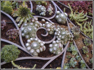 Close up of center of planter