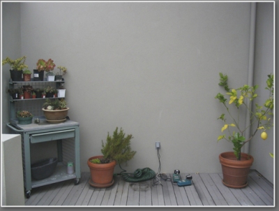 Side wall of entry