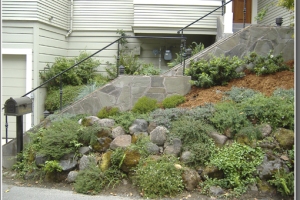 Triplet boys and a steep yard: Safety and Beauty