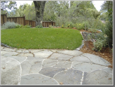 Front yard after clean up. A small lawn is nice for kids to play on.