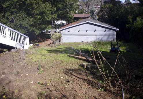 Old lawn, with the old fence and ivy removed