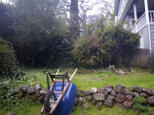During cleanup and removal of old plants