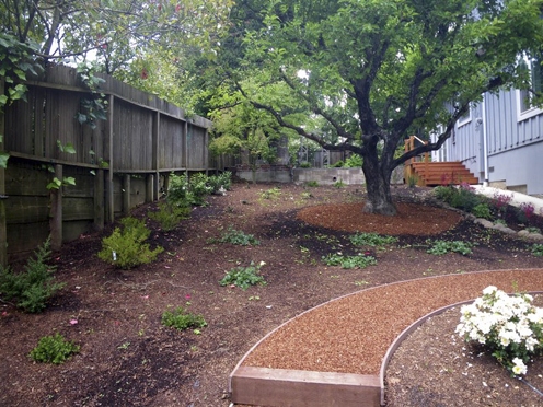 After planting