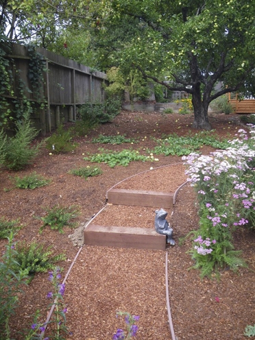 After: looking uphill from carport