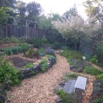 Getting Started with Your Garden Plan