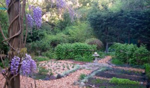 mulched garden
