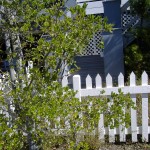 Edible Landscaping a Small Front Yard