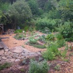 How to Sheet Mulch Your Edible Landscape