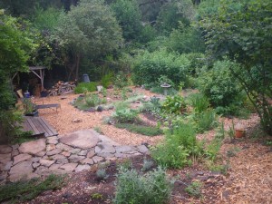 Former Lawn, now vegetables and fruit