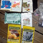 Heirloom Seed Companies for the Edible Landscape