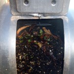  Easy Composting for the Edible Landscape