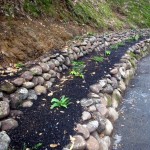 Erosion Control - More Ideas