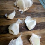 Planting Garlic, Shallots and Onions for the Edible Landscape