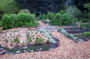 Sheet mulching removed the old lawn