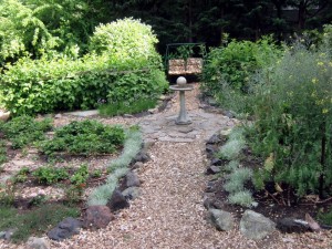 After sheet mulching - beauty and bounty
