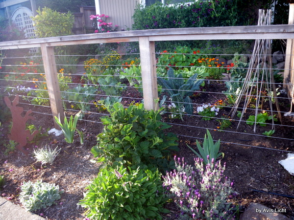 The Spring Garden