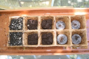 Seed sowing medium